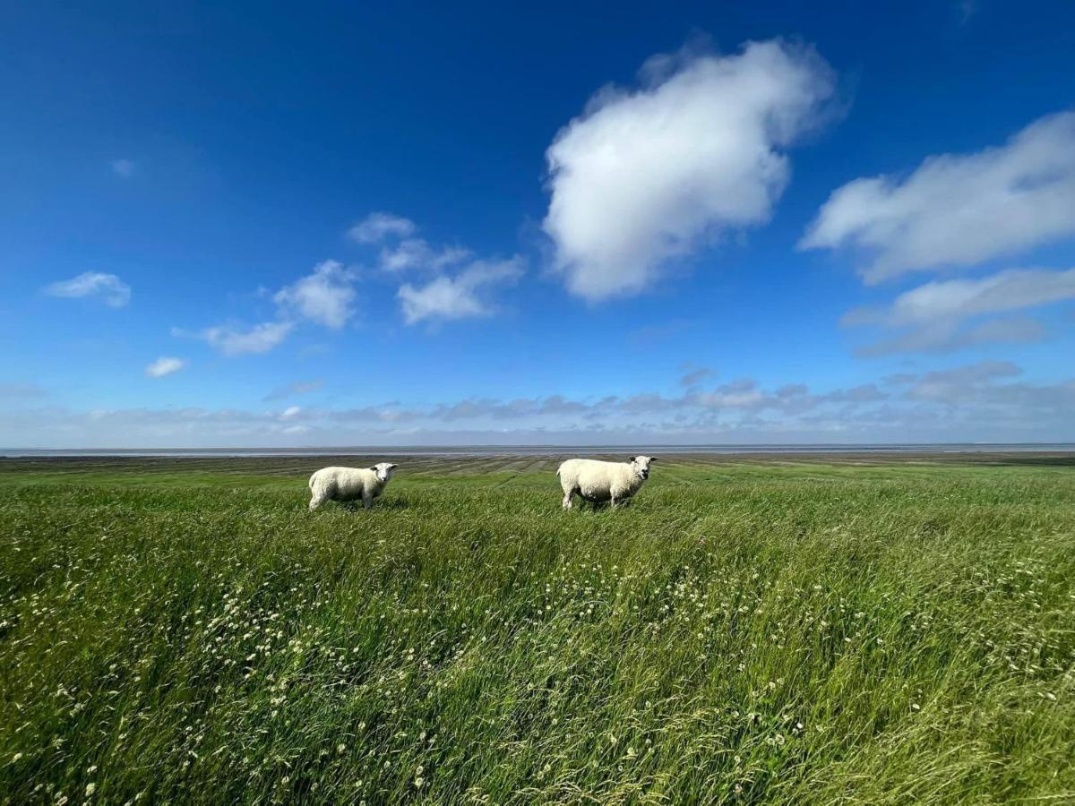 이젠스 Ferienhaus Blaue Nordseewelle 빌라 외부 사진